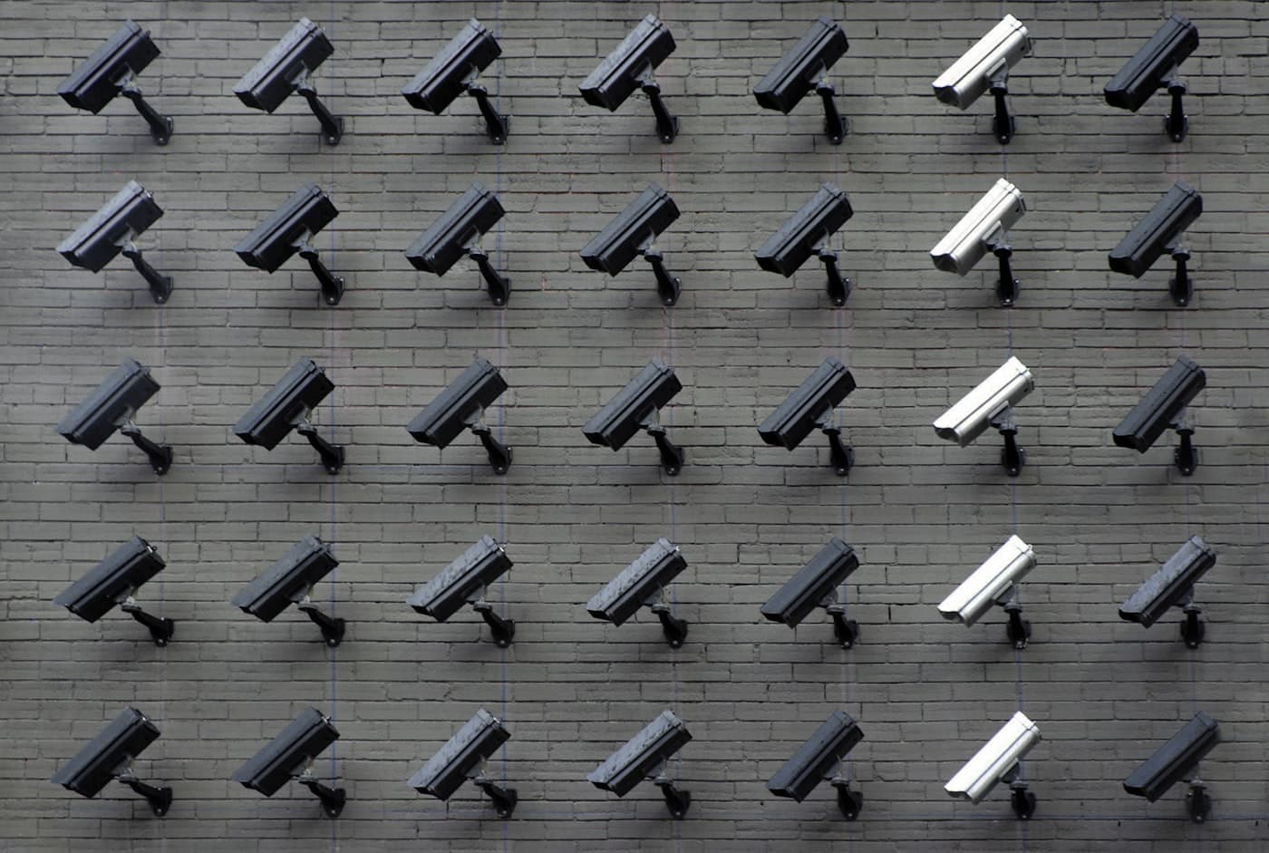 THE CAMERAS